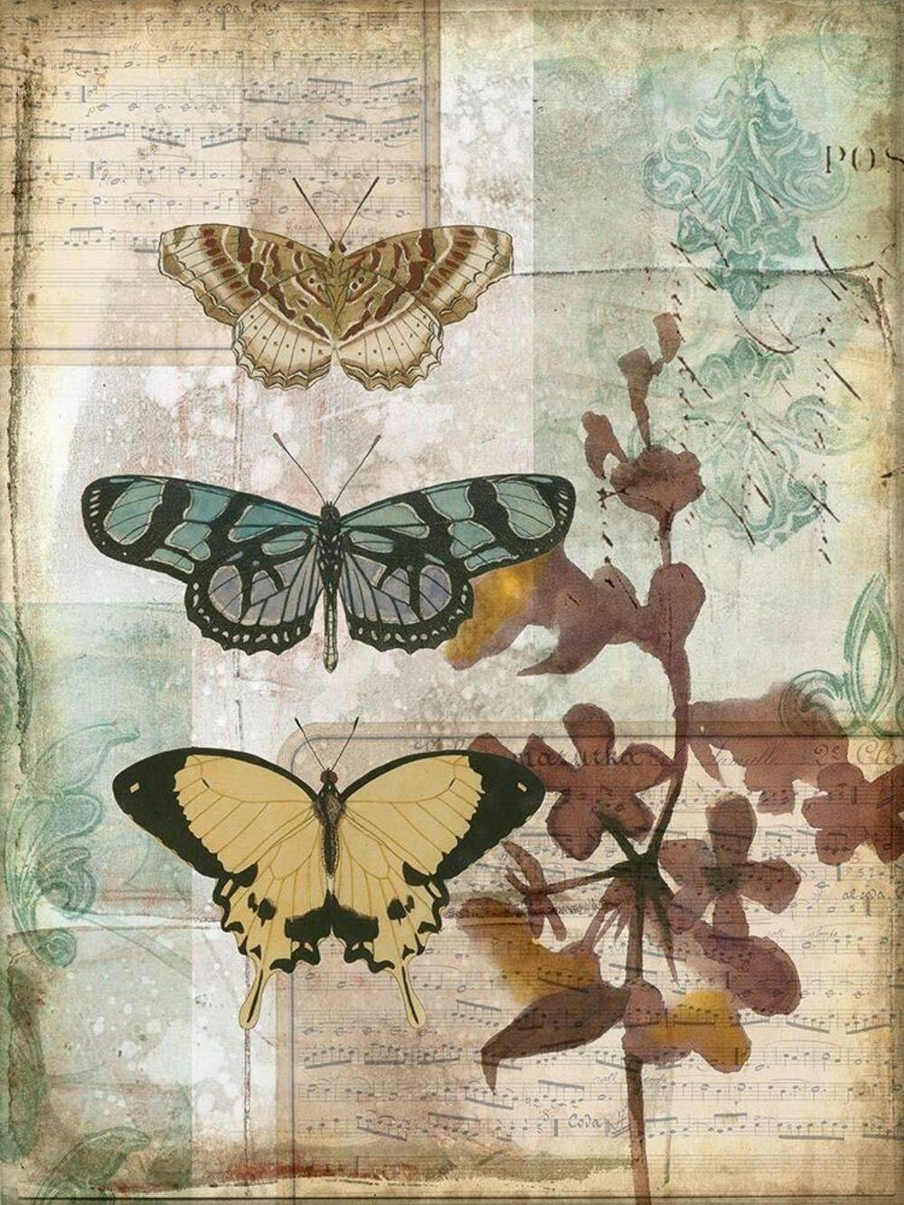 1993 Music Box Butterflies I Poster Print - Jennifer Goldberger 24 x 36